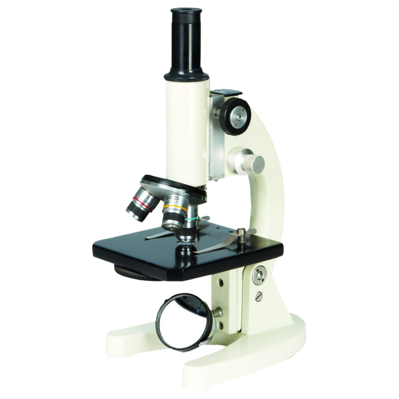 Versatile Toy Microscope with H10X H16X Eyepieces and Stage Clip